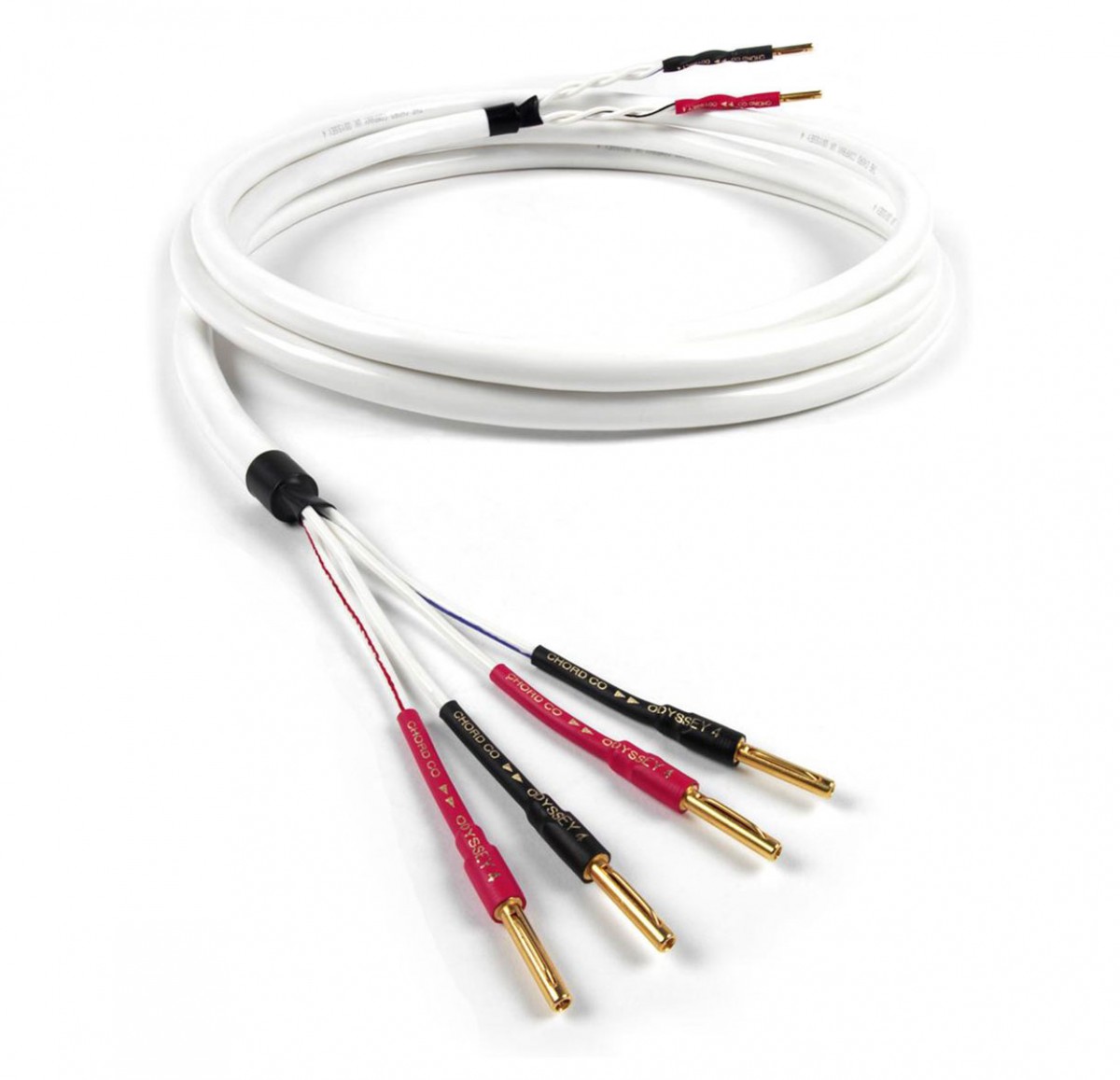 Кабель bi. Chord акустические провода. Chord Epic Speaker Cable m. Chord Odyssey. QED Genesis Silver Spiral bi-wire.